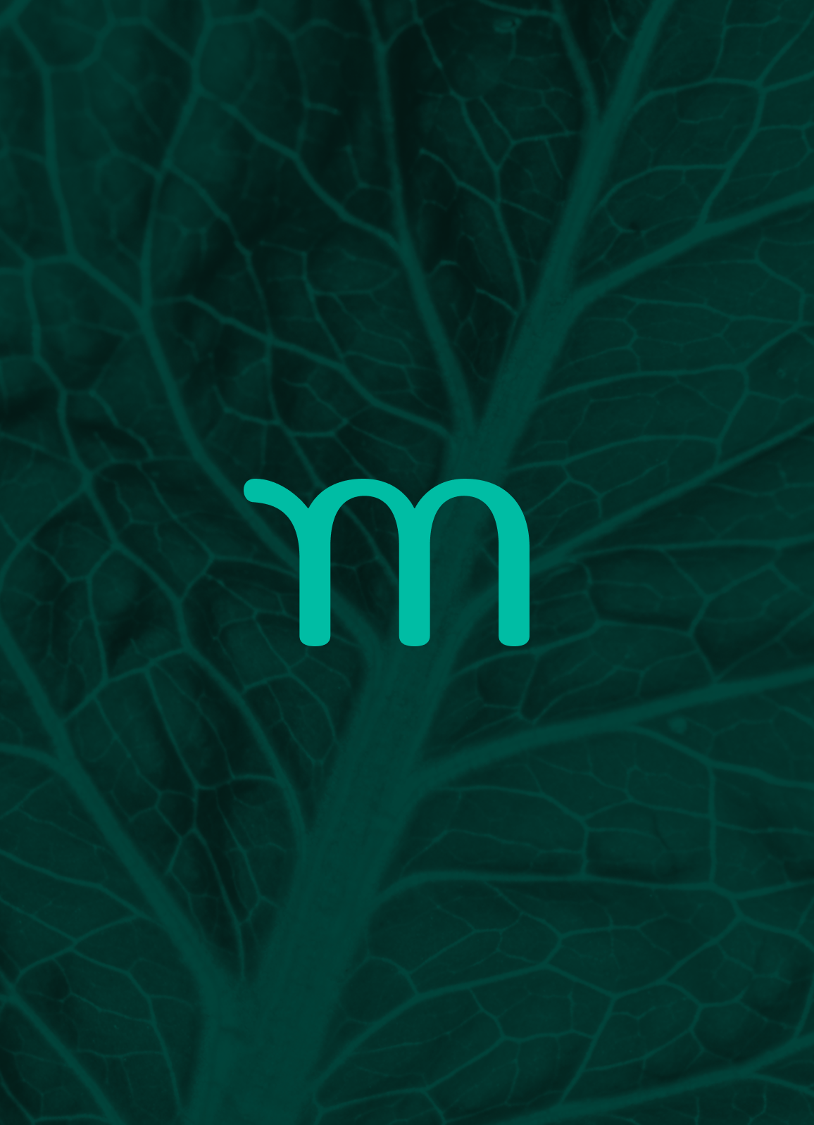 m-green-leaf-blog-image